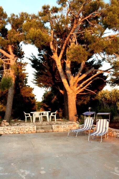 Affittasi Trullo Il Gelso - Ostuni Villa Carovigno Luaran gambar