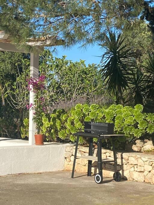 Affittasi Trullo Il Gelso - Ostuni Villa Carovigno Luaran gambar